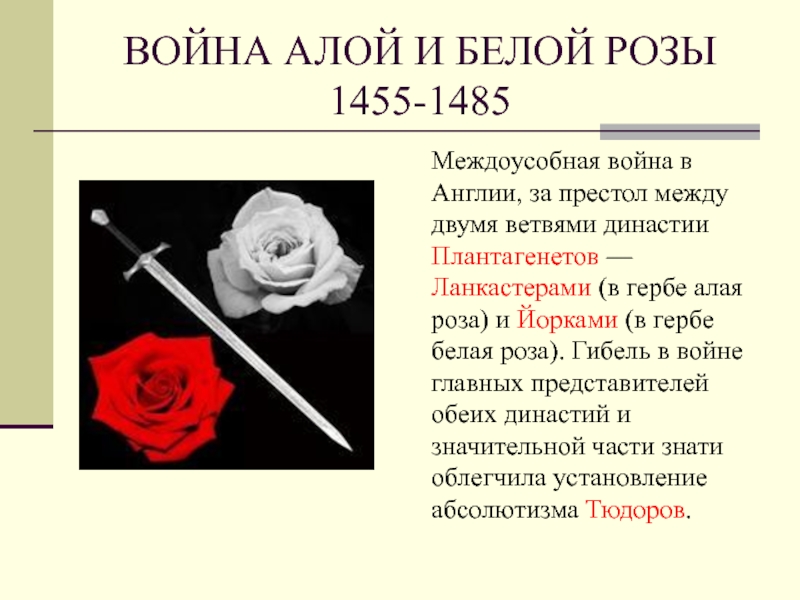 7e7bc9fbfc27fb6475a0a3988444f88d 800x