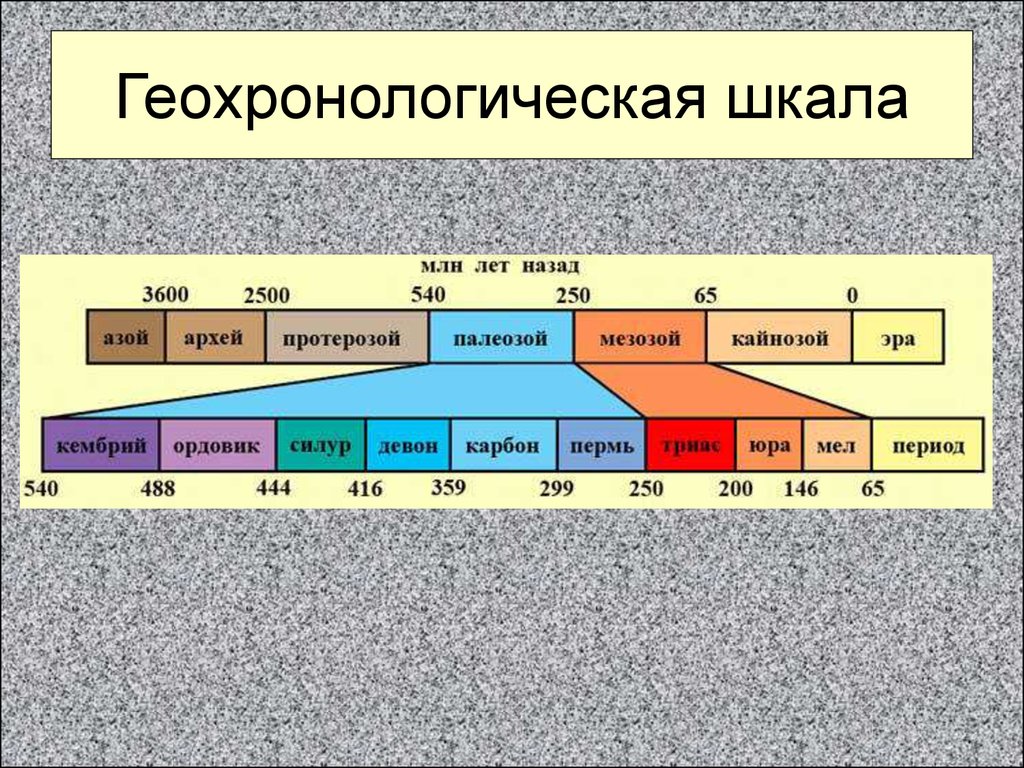 slide 24